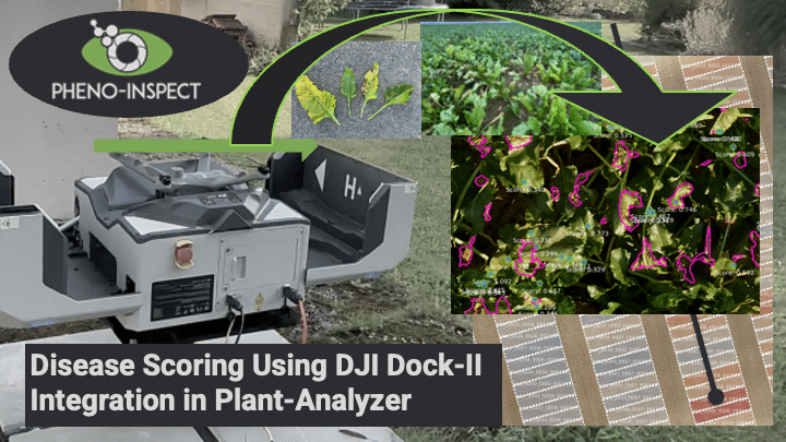 Krankheitsbewertung mittels DJI Dock-II-Integration in Plant-Analyzer